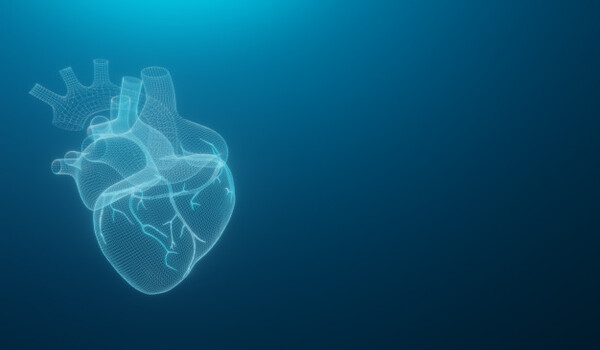Corazon del SIEM